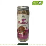 گرانولا بری وگان وجیتو