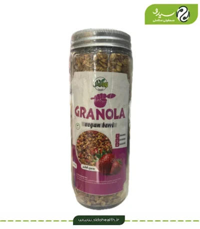 گرانولا بری وگان وجیتو