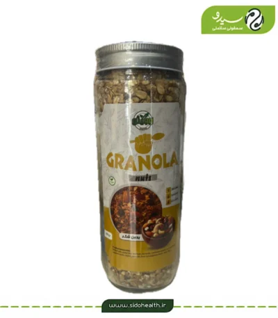 گرانولا آجیلی وگان وجیتو