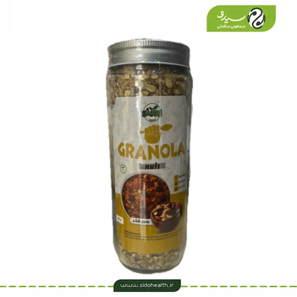 گرانولا آجیلی وگان وجیتو